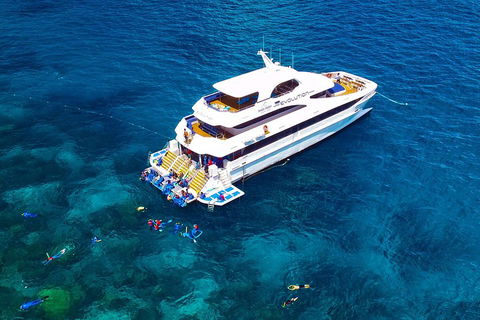 Great Barrier Reef Snorkeling And Diving Cruise From Cairns - Accommodation Gold Coast 5