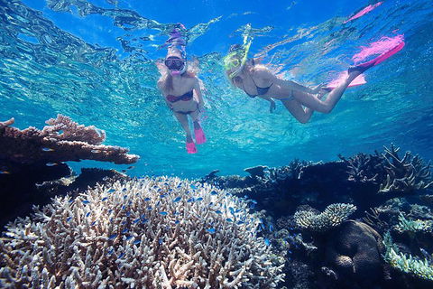 Great Barrier Reef Scenic Helicopter Tour And Cruise From Cairns - Accommodation Gold Coast 3