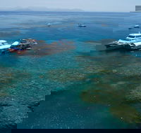 Cruise to Moore Reef Pontoon and Return Helicopter Flight from Cairns - Accommodation Gold Coast