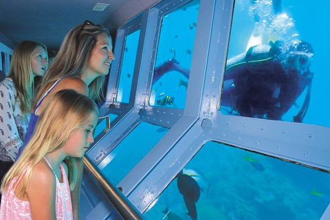 Helicopter And Cruise Packages From Port Douglas - Accommodation Gold Coast 0