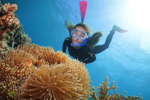 Helicopter And Cruise Packages From Port Douglas - Accommodation Gold Coast 3