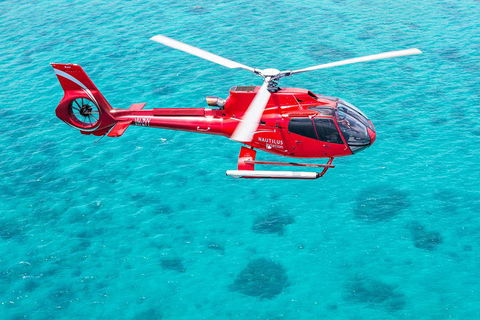 Helicopter And Cruise Packages From Port Douglas - Accommodation Gold Coast 5