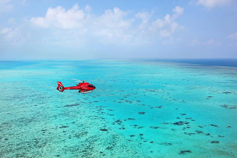 Port Douglas - Cruise And 10 Minute Scenic Flight - Accommodation Gold Coast 1