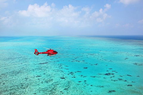 Great Barrier Reef 30-Minute Scenic Helicopter Tour From Cairns - Accommodation Gold Coast 2