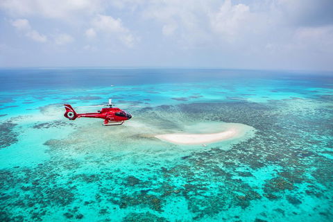 Ultimate Great Barrier Reef And Rainforest 45-minute Helicopter Tour - Accommodation Gold Coast 3