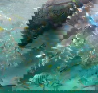 2-Day Moreton Island 4WD Camping Tour from Brisbane - 1 Gold Coast