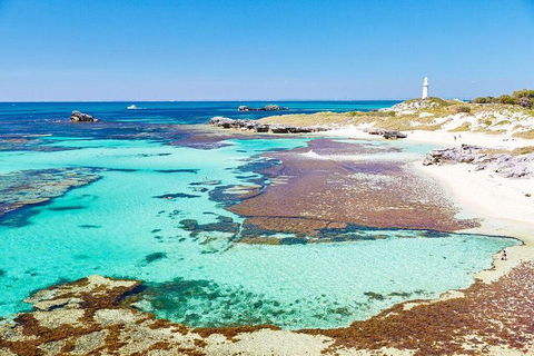 Rottnest Island All-Inclusive Grand Island Tour From Fremantle - Accommodation Gold Coast 1