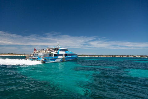 Rottnest Island Bike & Ferry Package From Fremantle - Accommodation Gold Coast 4
