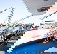 Summer Lunch Cruise - Accommodation Gold Coast