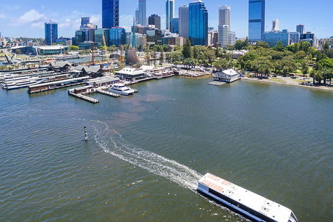 Summer Lunch Cruise - Accommodation Gold Coast 2