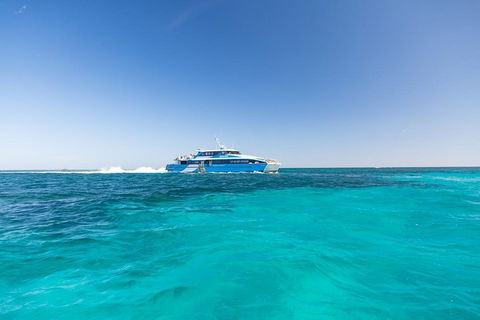 Rottnest Island Fortress Adventure Segway Package From Fremantle - Accommodation Gold Coast 0