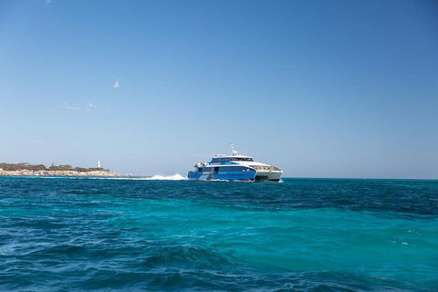 Rottnest Island Bike & Ferry Package From Perth - Accommodation Gold Coast 2