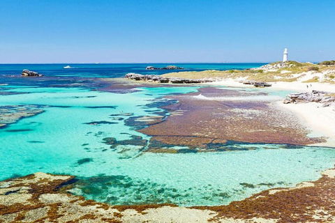 Rottnest Island Bike, Snorkel & Ferry Package From Perth - Gold Coast 4U 5