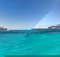Rottnest Island Bayseeker Day Trip from Perth - Accommodation Gold Coast