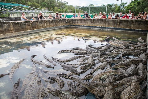 Hartley's Crocodile Adventures Day Trip From Cairns - Accommodation Gold Coast 0