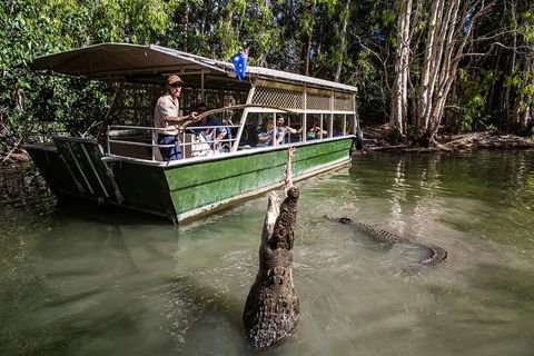 Hartley's Crocodile Adventures Day Trip From Cairns - Accommodation Gold Coast 2