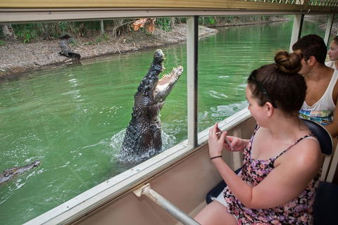 Hartley's Crocodile Adventures Day Trip From Cairns - Accommodation Gold Coast 3