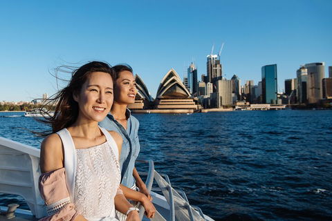 Sydney Whale-Watching Cruise - Accommodation Gold Coast 4