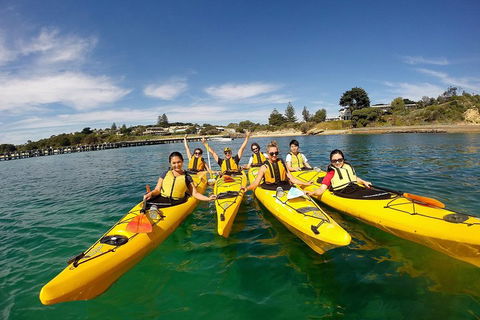 Mornington Peninsula Kayak Coastline Tour Of Dolphin Sanctuary - Accommodation Gold Coast 2