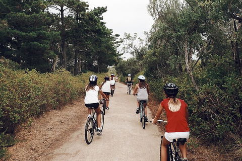 Self-Guided Point Nepean National Park Bike Hire - Accommodation Gold Coast 3