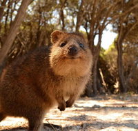 Wave Rock  Rottnest Island - Air  Ground Tour - Accommodation Gold Coast