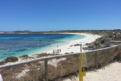 Wave Rock, Pinnacles And Rottnest One Day Aeroplane Tour - Accommodation Gold Coast 2