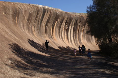 Wave Rock, Pinnacles And Rottnest One Day Aeroplane Tour - Accommodation Gold Coast 4