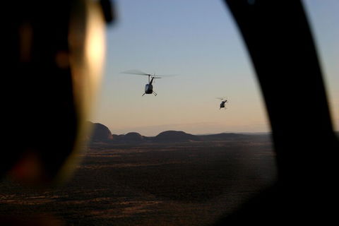 Helicopter Scenic: Lizard Safari - Accommodation Gold Coast 1