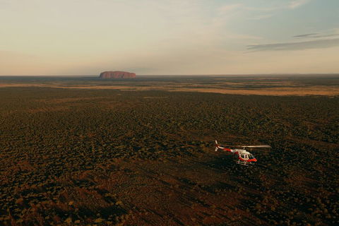 Helicopter Scenic: Lizard Safari - Accommodation Gold Coast 4