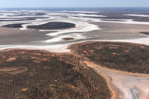 Helicopter Scenic: Lizard Safari - Accommodation Gold Coast 5