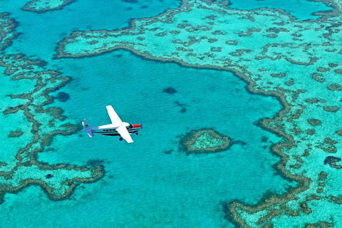 Fly & Sail Package (With Providence) - Accommodation Gold Coast 4