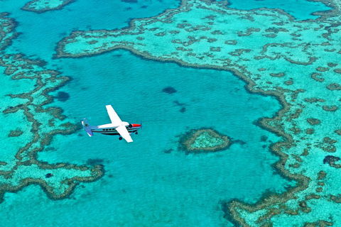 Reef And Island Scenic Flight From Airlie Beach - Gold Coast 4U 4
