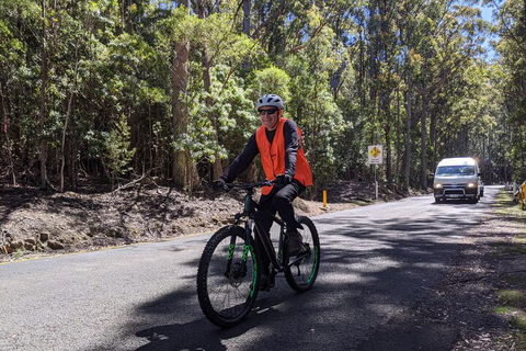 Mount Wellington Descent Cycling Tour Departs Hobart - Accommodation Gold Coast 3