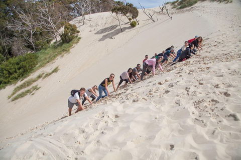 6-Day Tasmanian Explorer Adventure Tour From Hobart - Accommodation Gold Coast 2