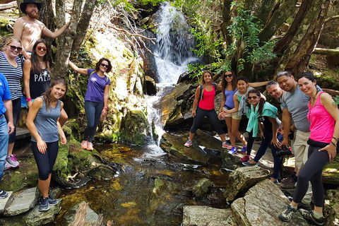 7-Day Super Value Tour Of Tasmania: Explore Tasmania's West And East Coasts - Accommodation Gold Coast 2