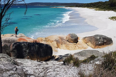 2-Day Tas East Coast Escape Tour Including Bay Of Fires, Wineglass Bay & Devils - Accommodation Gold Coast 4