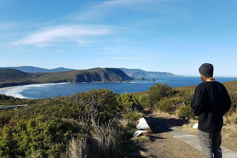 4-Day Fabulous Tasmania Tour: Wineglass Bay, Port Arthur, Devils & Bruny Island - Accommodation Gold Coast 0