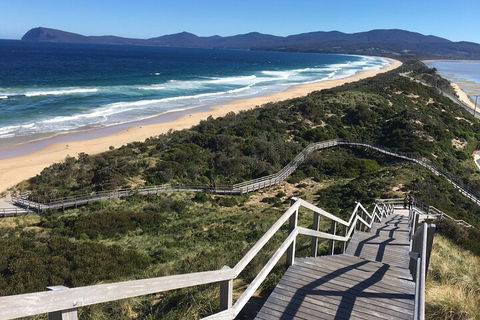 4-Day Fabulous Tasmania Tour: Wineglass Bay, Port Arthur, Devils & Bruny Island - Accommodation Gold Coast 5