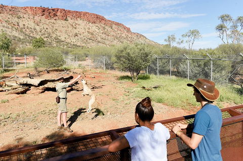 Alice Springs Desert Park General Entry Ticket - Accommodation Gold Coast 4