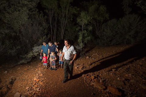 Alice Springs Desert Park Nocturnal Tour - Accommodation Gold Coast 0