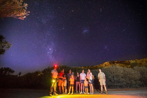 Alice Springs Desert Park Nocturnal Tour - Accommodation Gold Coast 2