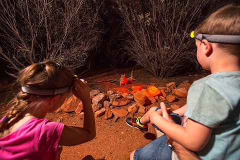 Alice Springs Desert Park Nocturnal Tour - Accommodation Gold Coast 4