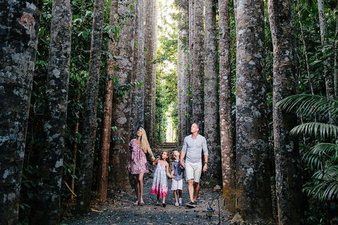 The Original Day Tour To Paronella Park, Lake Barrine And Millaa Millaa Falls - Accommodation Gold Coast 1