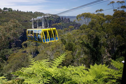 Go City | Sydney Explorer Pass With 20+ Attractions And Tours - Accommodation Gold Coast 0