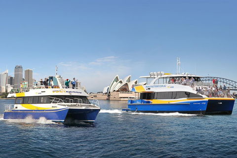 Go City | Sydney Explorer Pass With 20+ Attractions And Tours - Accommodation Gold Coast 5