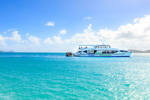 Whitehaven Beach And Daydream Island Cruise - Accommodation Gold Coast 2