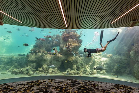 Whitehaven Beach And Daydream Island Cruise - Accommodation Gold Coast 4