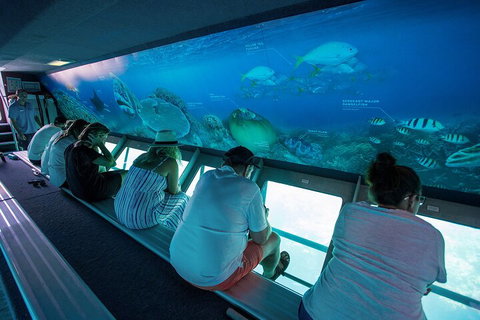 Great Barrier Reef Day Cruise To Reefworld - Accommodation Gold Coast 0