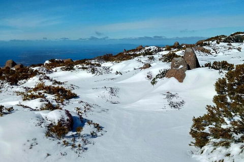 Mount Wellington Ultimate Experience Tour From Hobart - Accommodation Gold Coast 1