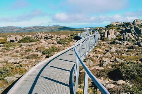 Mount Wellington Ultimate Experience Tour From Hobart - Accommodation Gold Coast 2